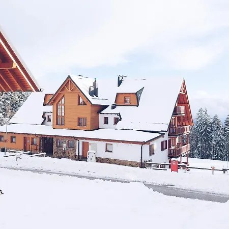 Apartment Pohorje Village Wellbeing - Forest Videc *
