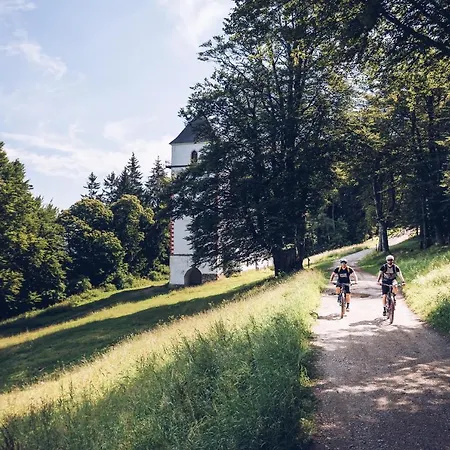 Appartamento Pohorje Village Wellbeing - Forest Videc *