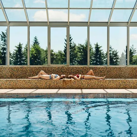 Pohorje Village Wellbeing - Forest Videc Apartman