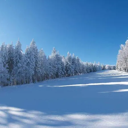 Pohorje Village Wellbeing - Forest Videc Appartamento *