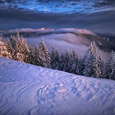 Apartment Pohorje Village Wellbeing - Forest Videc Hocko Pohorje