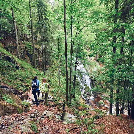 Appartamento Pohorje Village Wellbeing - Forest Videc Hočko Pohorje