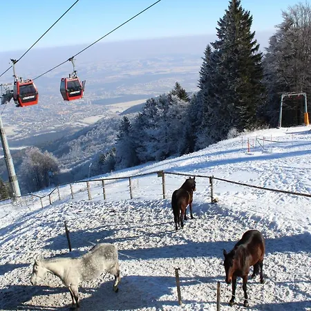 Appartamento Pohorje Village Wellbeing - Forest Videc Hočko Pohorje