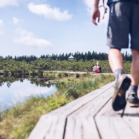 Appartamento Pohorje Village Wellbeing - Forest Videc