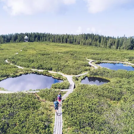 Appartamento Pohorje Village Wellbeing - Forest Videc *