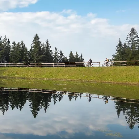 Appartamento Pohorje Village Wellbeing - Forest Videc *