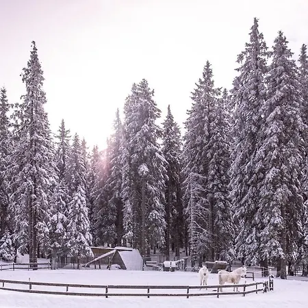 Apartamento Pohorje Village Wellbeing - Forest Videc