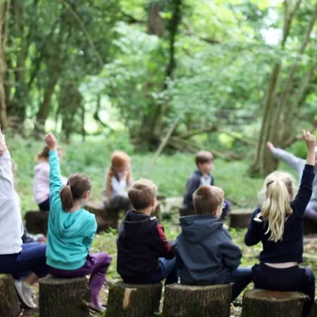 Pohorje Village Wellbeing - Forest Videc