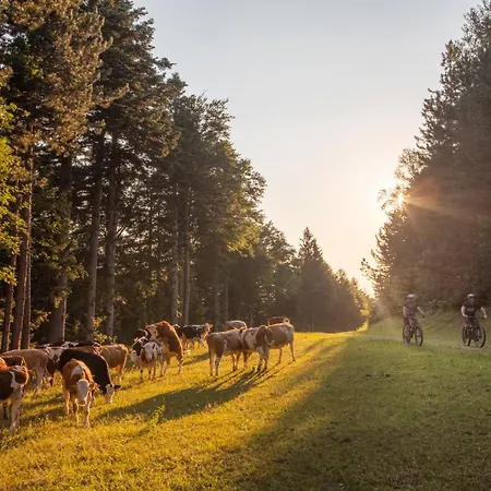 Pohorje Village Wellbeing - Forest Videc Apartamento Hočko Pohorje
