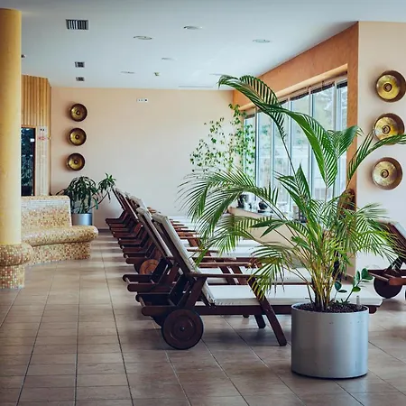 Pohorje Village Wellbeing - Forest Videc 霍茨科波霍尔耶