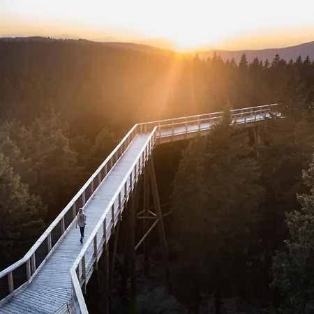 Pohorje Village Wellbeing - Forest Videc