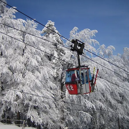 Pohorje Village Wellbeing - Forest Videc Apartment Hocko Pohorje