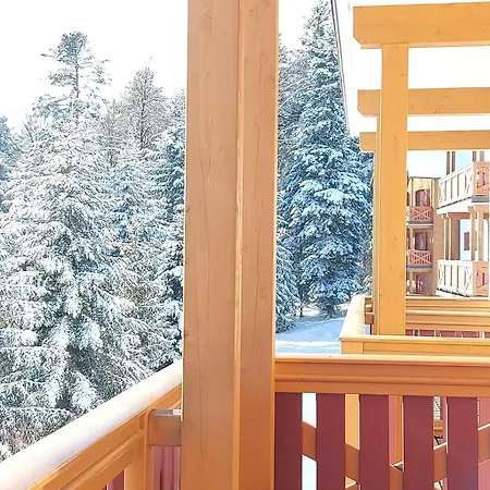 Pohorje Village Wellbeing - Forest Videc Hočko Pohorje