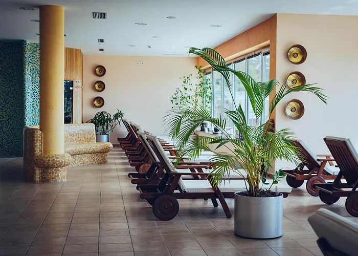 Pohorje Village Wellbeing - Forest Videc Hočko Pohorje