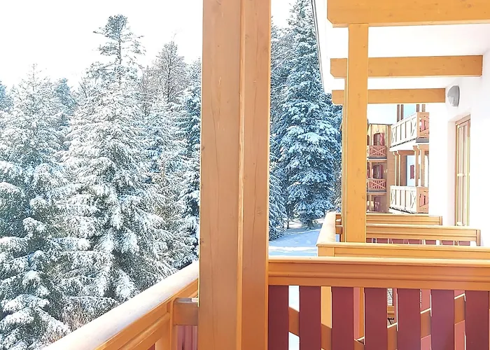 Pohorje Village Wellbeing - Forest Videc Hočko Pohorje